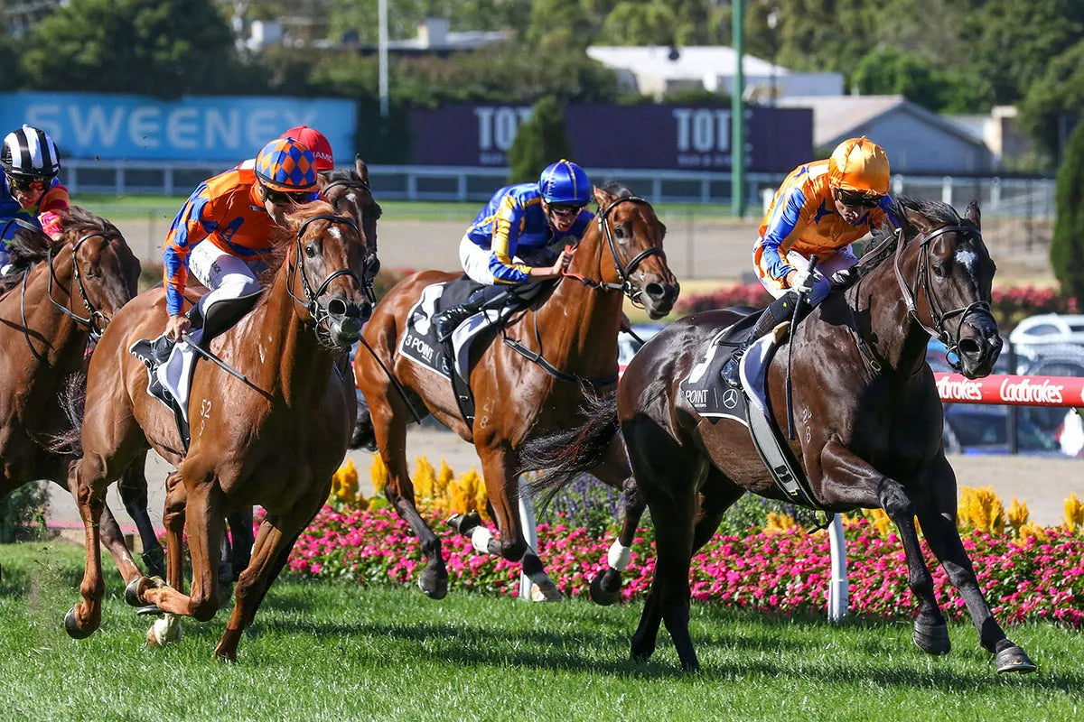 Custom Te Akau Merch Or Keepsake Design Package